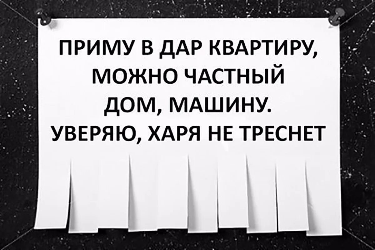 Морда треснет. А рожа не треснет. А харя не треснет прикольные картинки. Харя не треснет. Харя треснет.