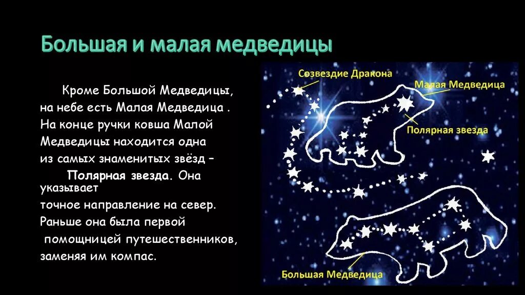 Созвездия медведицы рассказ. Малая Медведица Созвездие звезды. Сказка о Созвездие малой медведицы и полярной звезде. Рассказ о созвездии малой медведицы. Интересные факты о созвездиях.