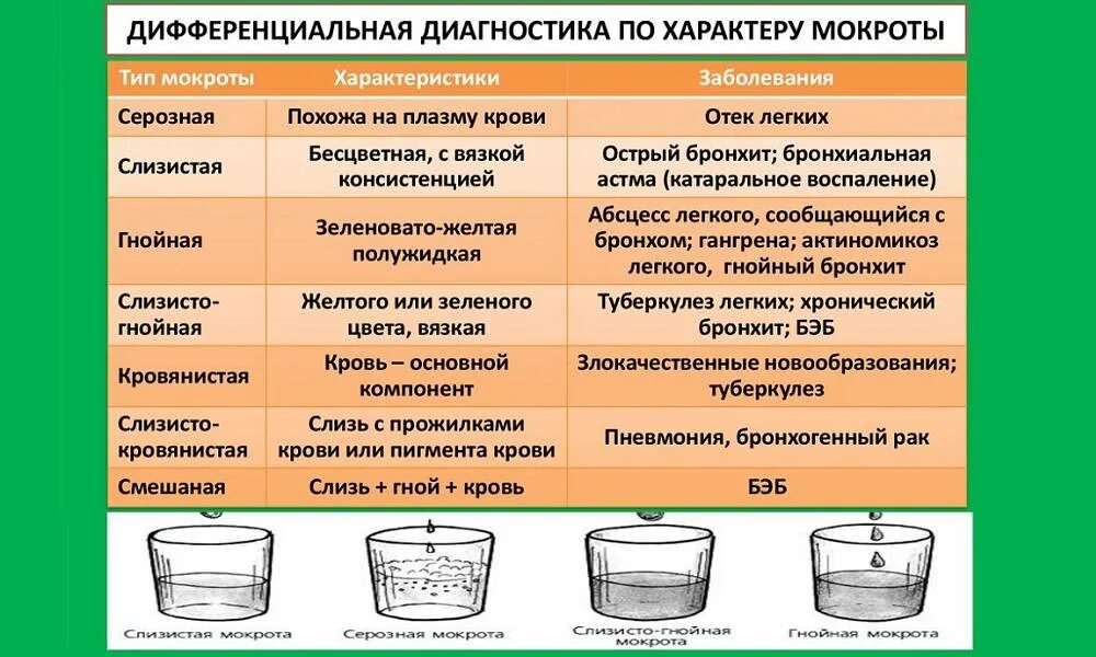 Почему много мокроты. Анализы мокроты виды. Типы мокроты по цвету.