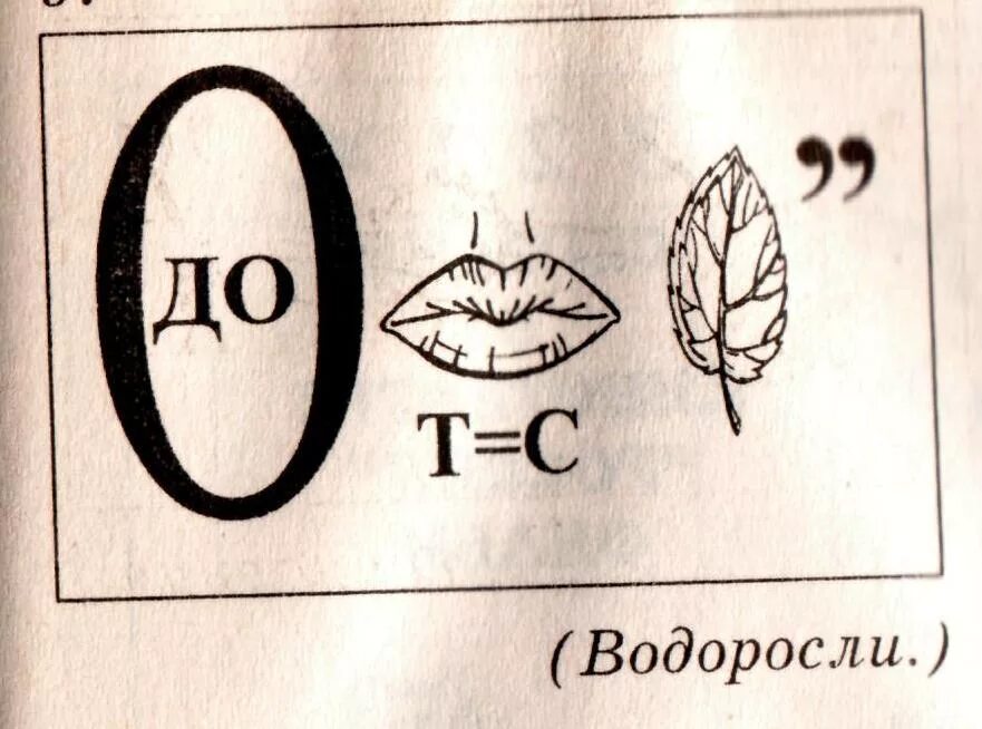 Слова из слова водоросль ответы. Ребус водоросли. Ребус на тему водоросли. Ребусы по биологии с ответами. Ребус по биологии 5.