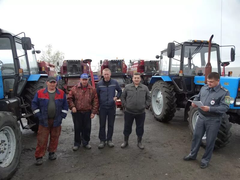 Донгуз балтайского района саратовской области. Донгуз Балтайский район Саратовская область. Садовка Балтайский район Саратовская область. Саратовская область Балтайский район село садовка .. Царевщина Балтайский район.