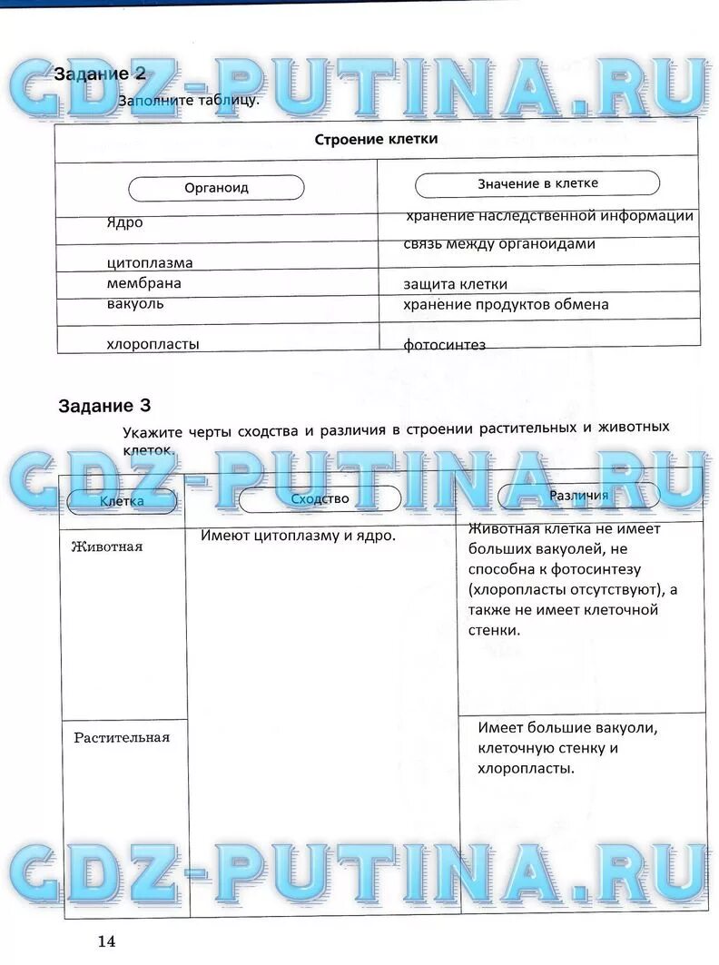 Биология 5 класс рабочая тетрадь 22 параграф. Симонова Николаев биология рабочая тетрадь Корнилова. Биология 5 класс рабочая тетрадь Корнилова. Биология 5 класс Корнилова рабочая тетрадь 5 стр.