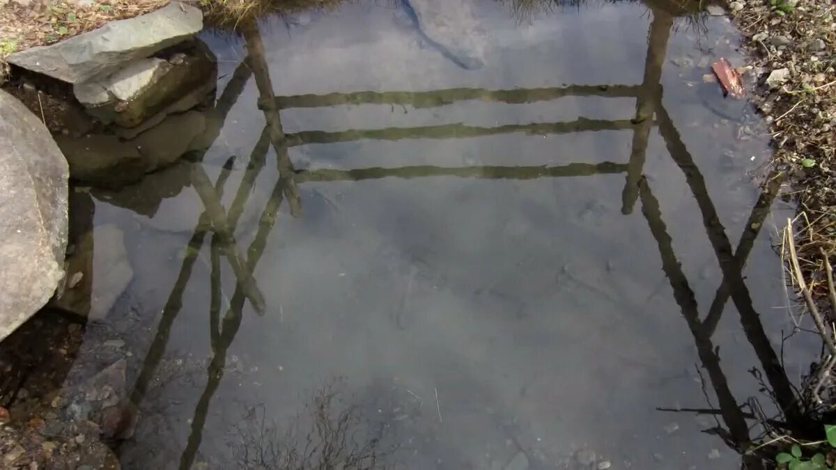 Вода холодный ключ. Холодный ключ (Родник, Аннинский район). Родник Поповский ключик. Ледяной ключ. Родниковый источник вода.