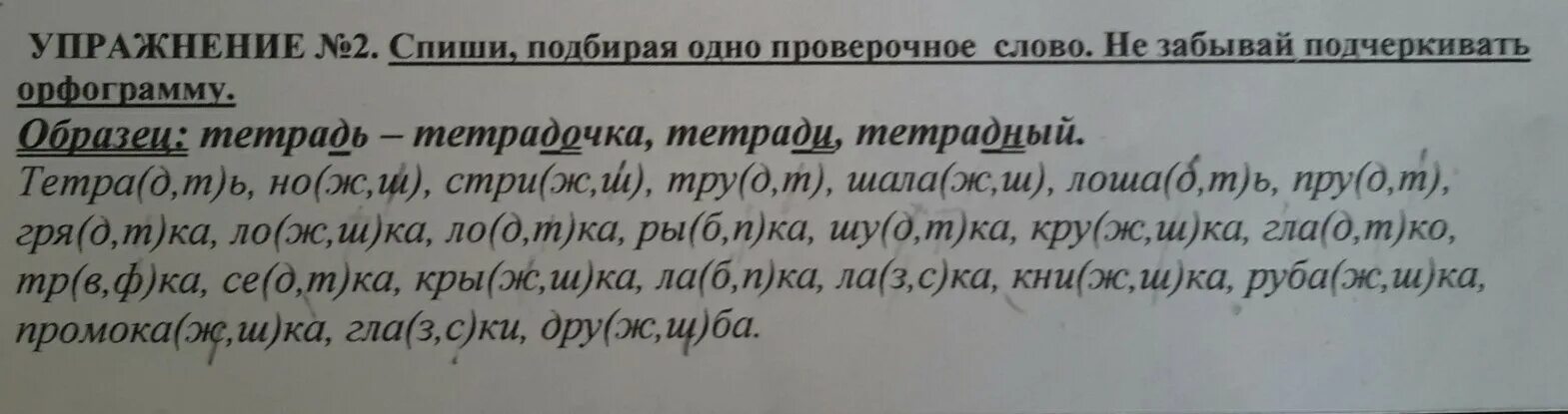 Спишите проверьте по словарю подберите. Подбежал проверочное слово. Спишите проверочное слово. Проверочное слово к слову Спиши. Проверочное слово к слову спишите.