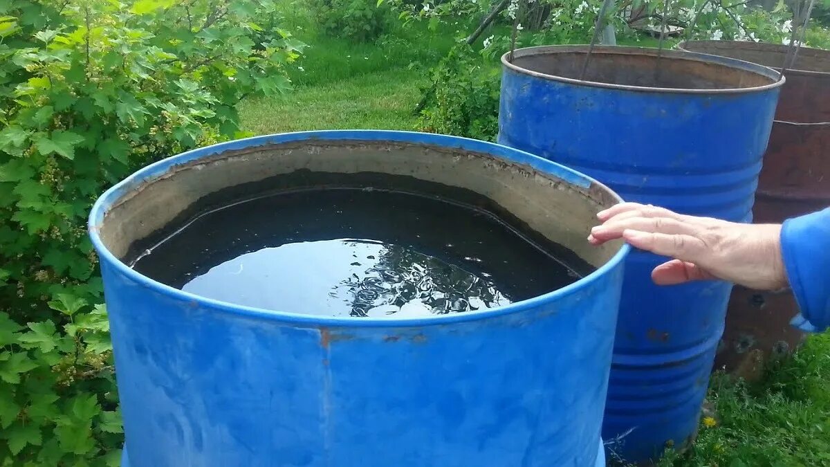 Бочку другую с водой. Бочка для воды. Бочка для воды на дачу. Вода в бочке.