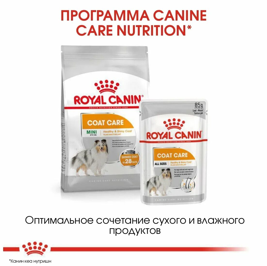 Coat care. Coat care роял канин. Royal canin mini coat care. корм для собак 1кг роял канин coat care. Royal canin mini urinary care.