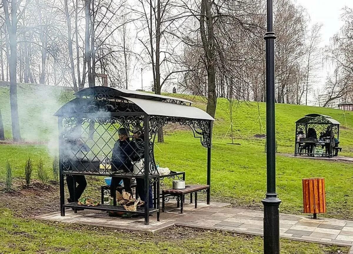 Можно ли мангал в лесу. Парк Царицыно мангальная зона. Парк Сокольники Шашлычная зона. Парк Царицыно пикниковая зона. Кузьминский парк мангальная зона.