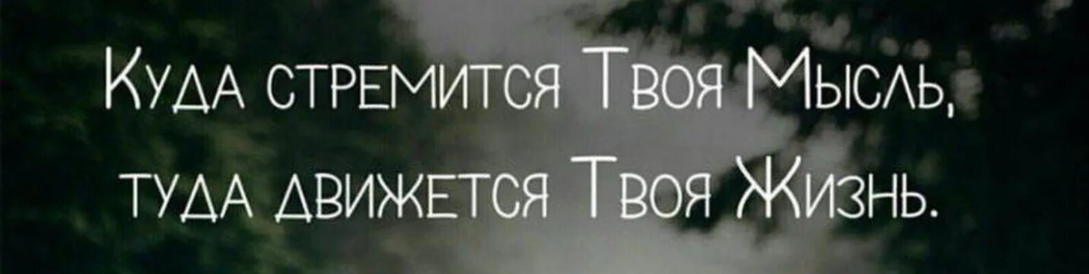Куда мысль туда и энергия картинка. Картинки мотиваторы. Лестница жизни. Джет ли цитаты. Счастье и умиротворение.