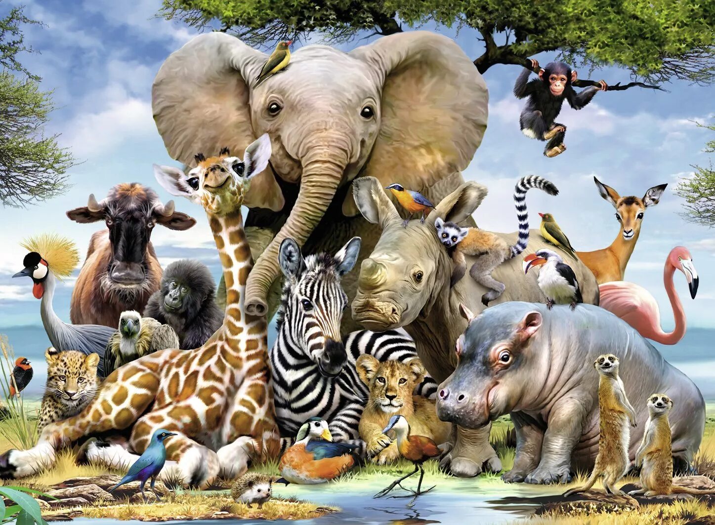 Много животных. Мир животных. Множество животных. Африканские животные.