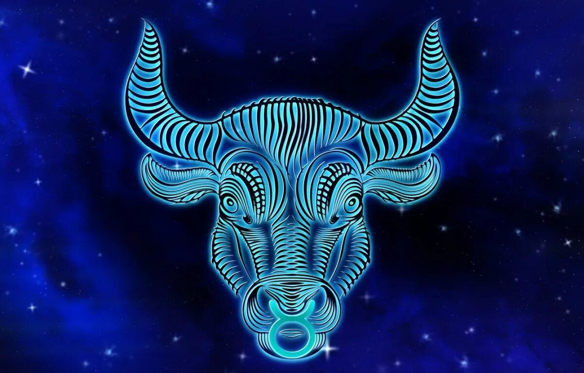 Гороскоп для тельца на декабрь 2025. Taurus знак зодиака. taurus телец. заставка телец. гороскоп тельца на 2025.