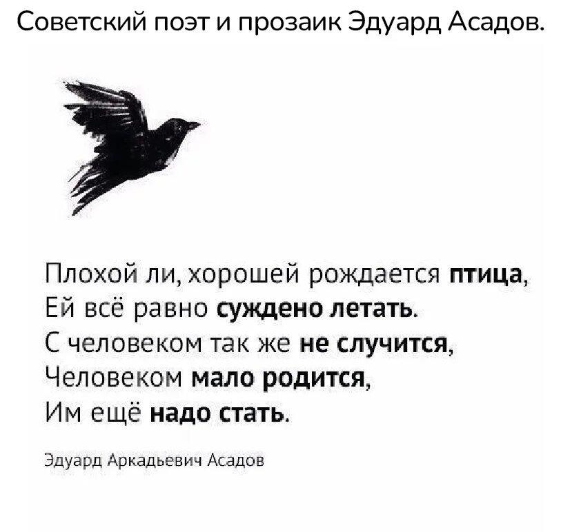 Не нужно становиться плохим. Хороший плохой ли рождается птица ей суждено летать. Плохой ли хорошей рождается птица. Плохой ли хорошей рождается птица Асадов. Плохой ли хорошей рождается птица ей всё равно.