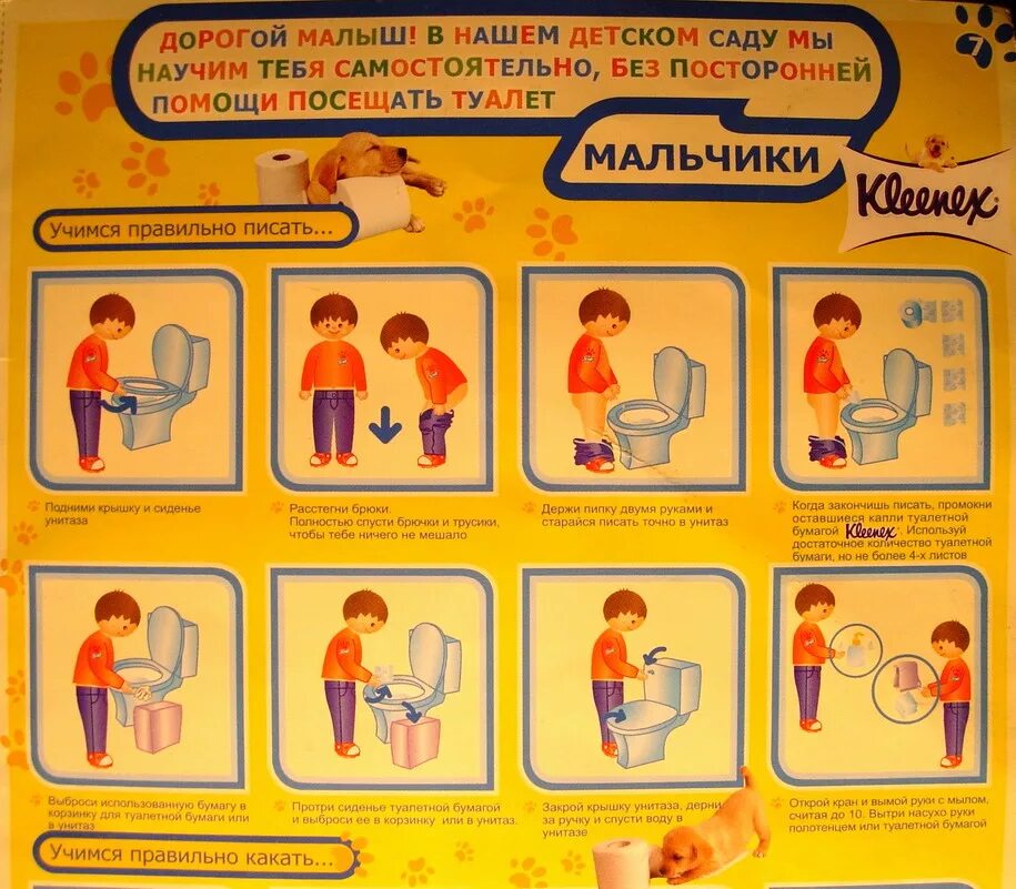 Kak pravilno ru. Как правильно писать. Правило посещение туалета в детском саду. Плакат в туалет. Алгоритм посещения туалета.