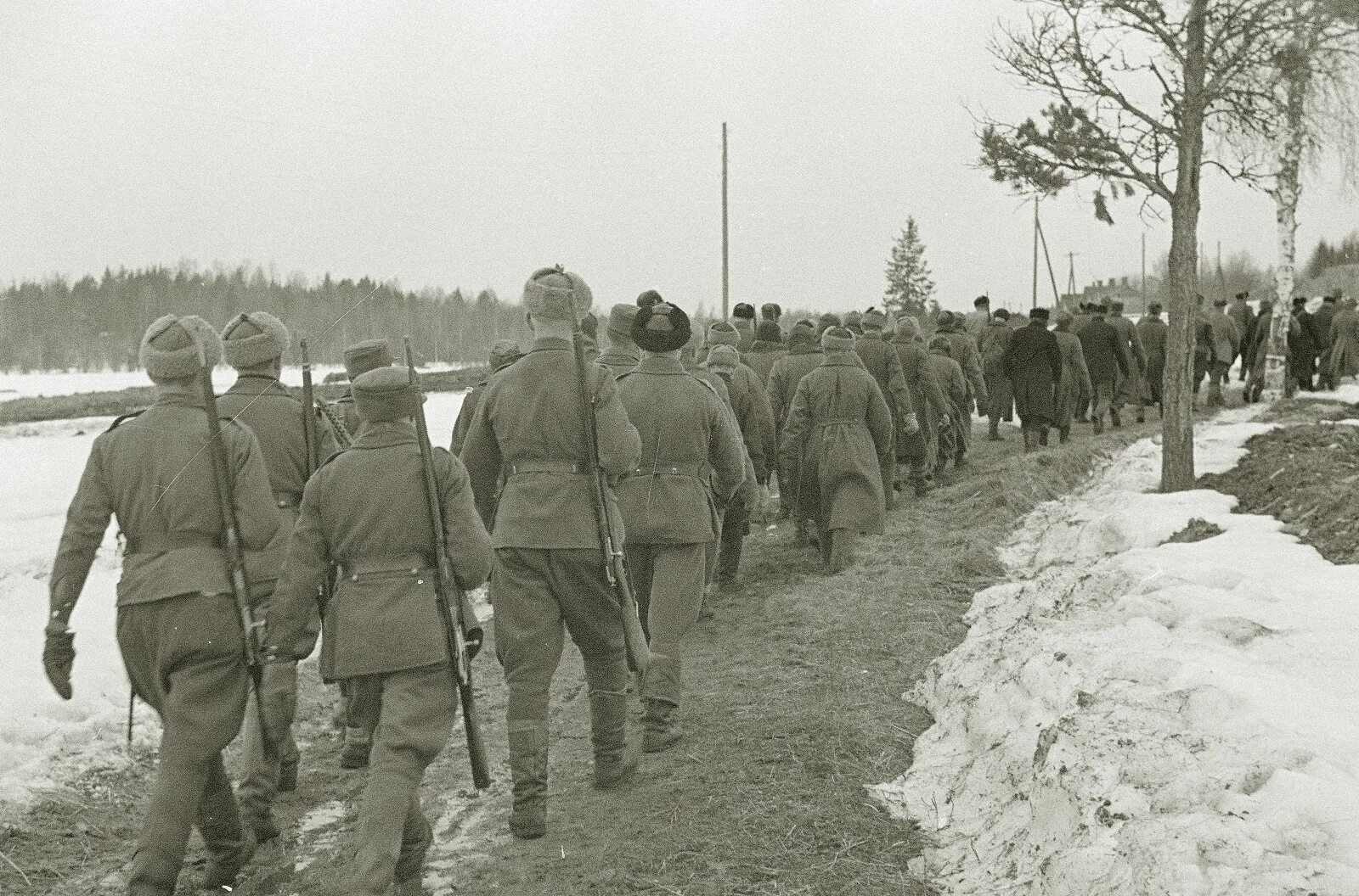 пленные советско финской войны. советские пленные вов 1941. финские солдаты 1939. конвоирование пленного. передача военнопленных.
