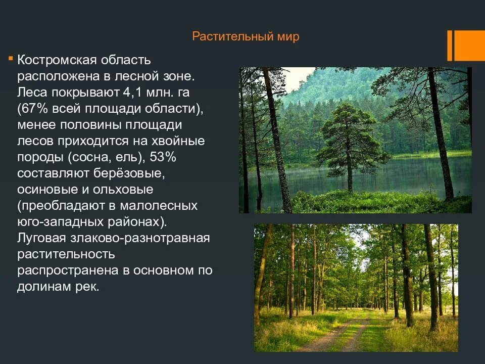 Какие богатства лесной зоны. Растительный мир Костромской области. Природные зоны Костромской области. Растительный мир Кировской области. Растительный мир Костромского края.