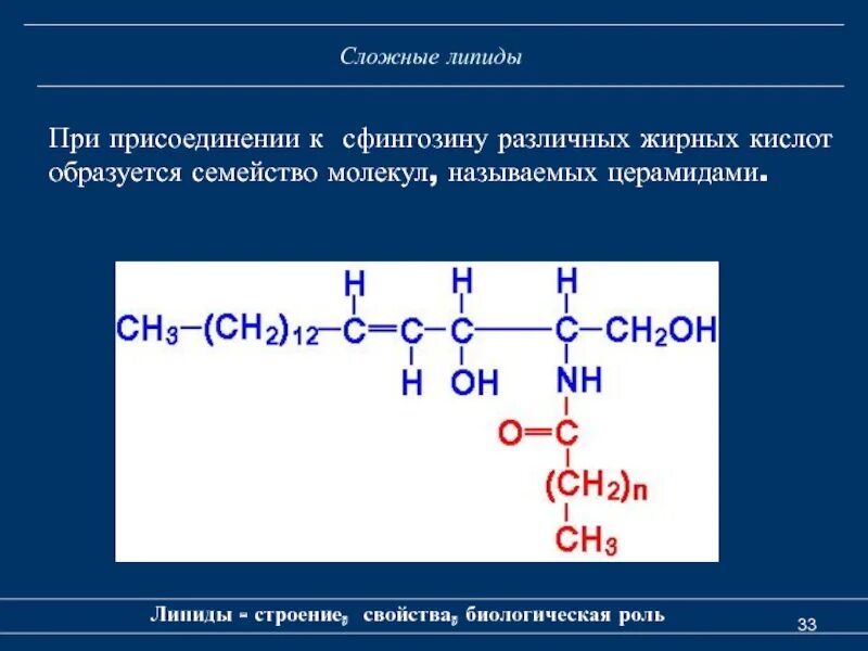Липиды строение таблица. Химическая структура липидов. сложные липиды. простые липиды формула. липиды классификация и функции.