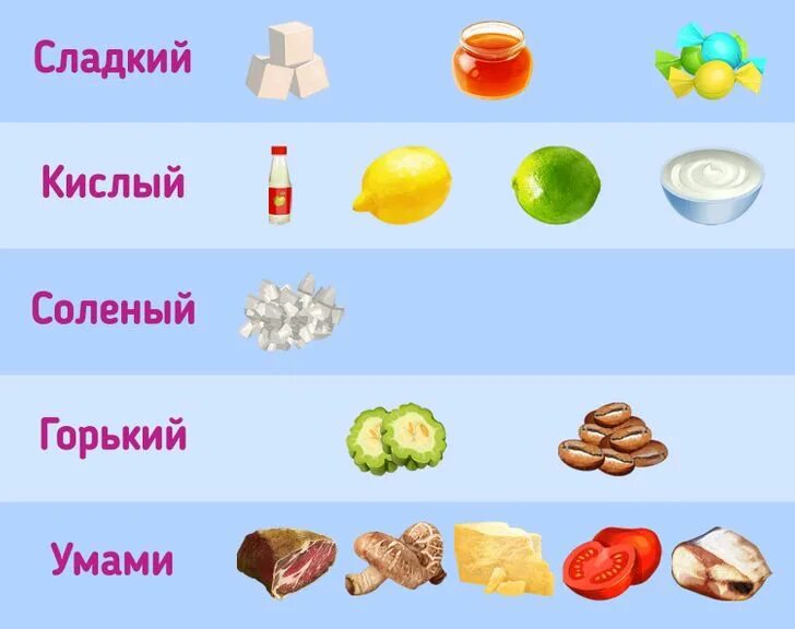 Кислый сладкий Горький соленый. Вкусы кислый сладкий соленый. Вкус соленый сладкий Горький. Кислое сладкое горькое соленое. Горькое кислое соленое сладкий сладкое