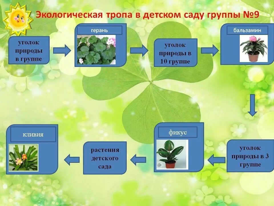 Занятие по экологии в детском саду. Экологическое образование в доу. Названия проектов по экологии для дошкольников. Темы экологических проектов для дошкольников. Проекты доу экология.