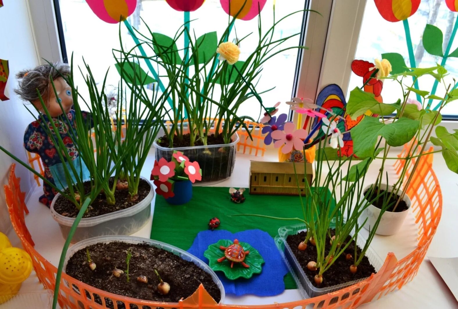 Огород на подоконнике. Огород на окне в детском саду. Сад на подоконнике в детском саду. Огород на подоконнике в детском.