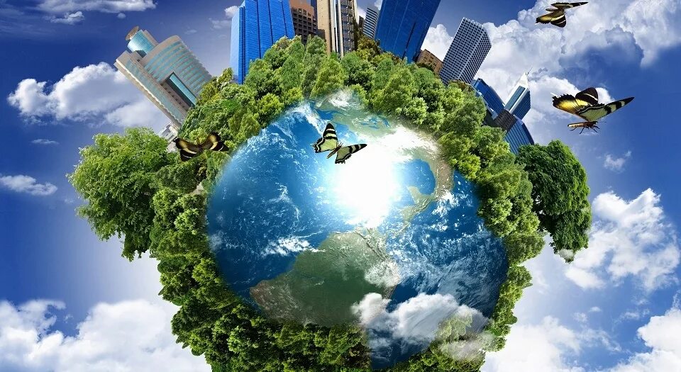 Экологический фон. Экологический менеджмент. Инженер эколог. Обращение с отходами. Экологически безопасные работы.