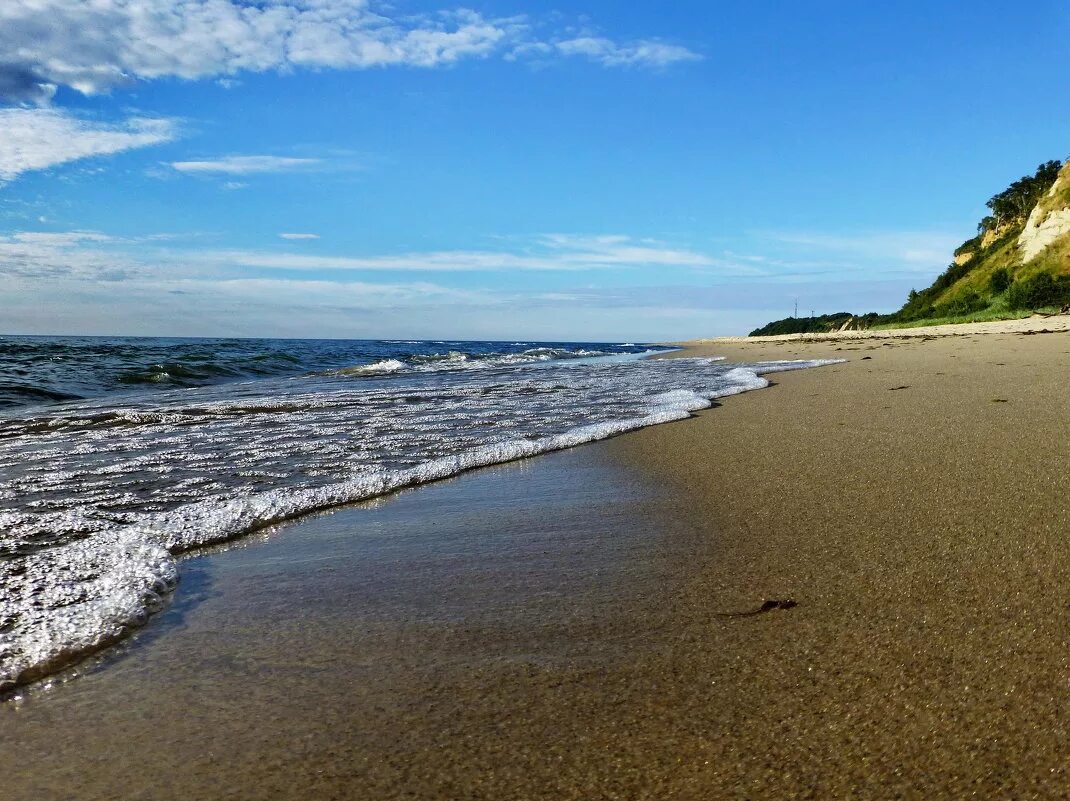 Балтийский берег морская