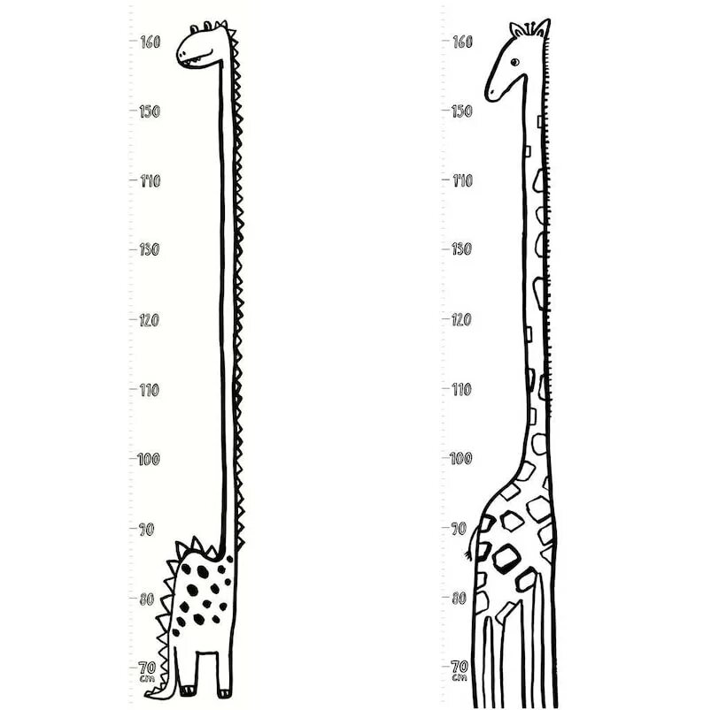 Величины рост жирафа толщина лезвия бритвы. Рост жирафа. Высота жирафа в метрах включая шею и голову. Рост жирафа в метрах. Диаметр шеи жирафа.