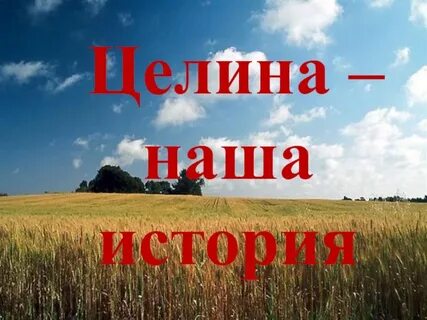 Целина это в истории