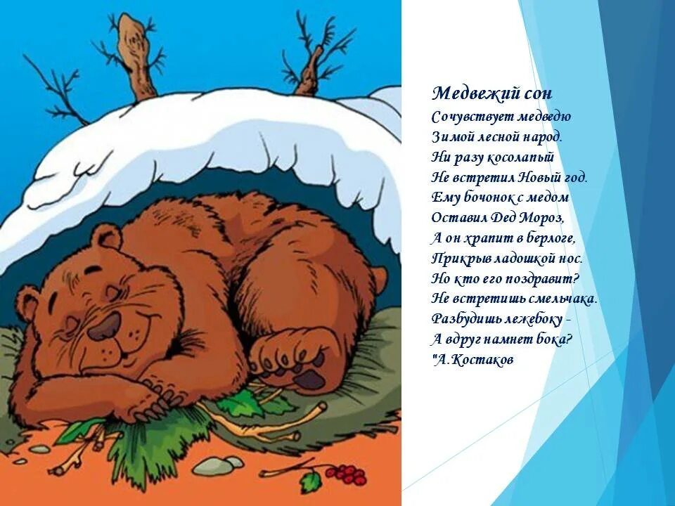 Спящий мишка в берлоге. Берлога медведя. Медведь в берлоге для детей. Медведь зимой в берлоге. Медведь в спячке.подготовительная группа.