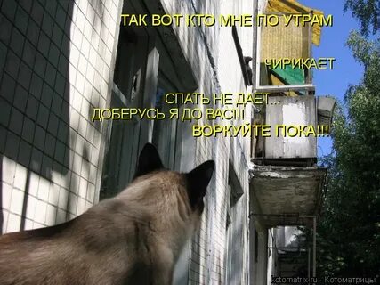 Как утром добираешься
