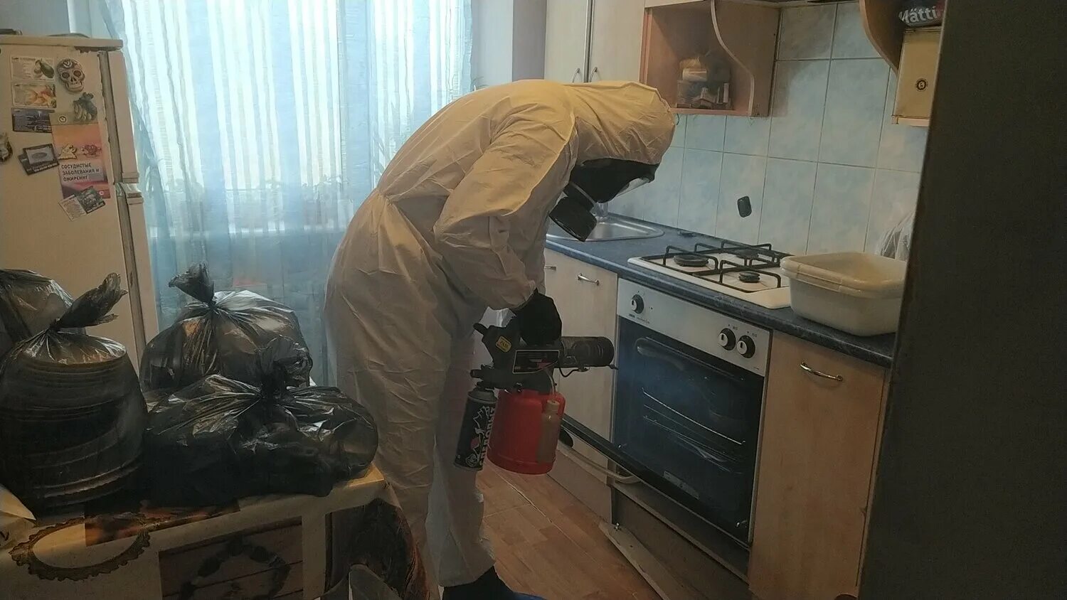 Дезинфекция от муравьев в квартире. Муравьи в квартире. Дезинфекция от муравьев в квартире. Дезинфекция от муравьев в квартире. Дезинфекция от муравьев в квартире.
