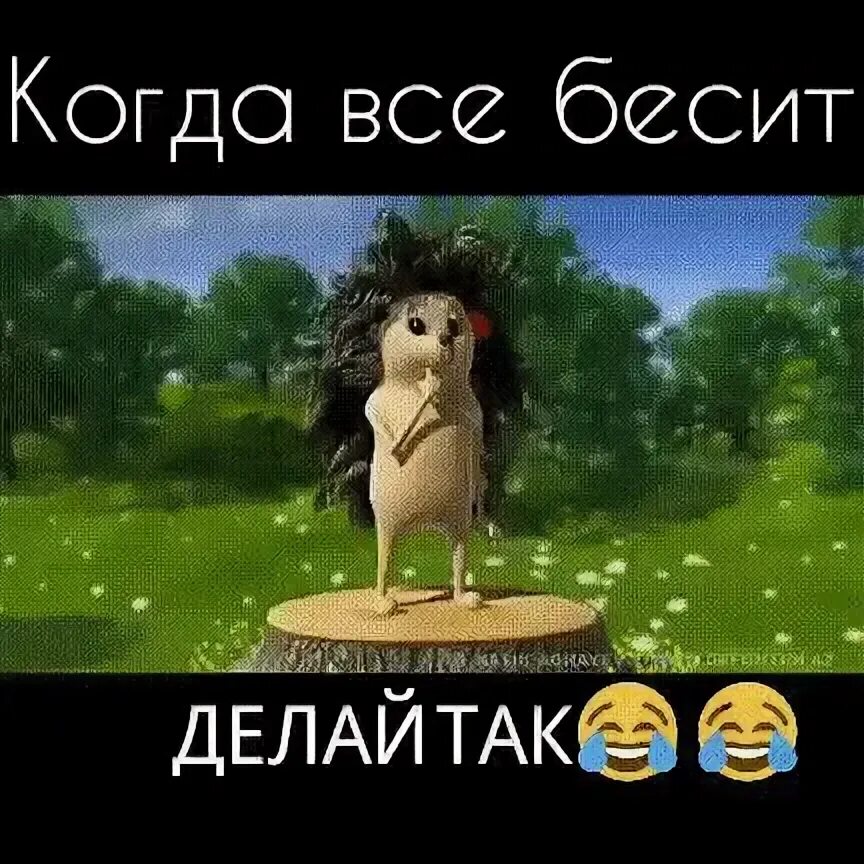 Танцующий ежик. Когда всё бесит делай так ежик. Фразы винни пуха. Высказывания винни пуха. Не надо так картинка.