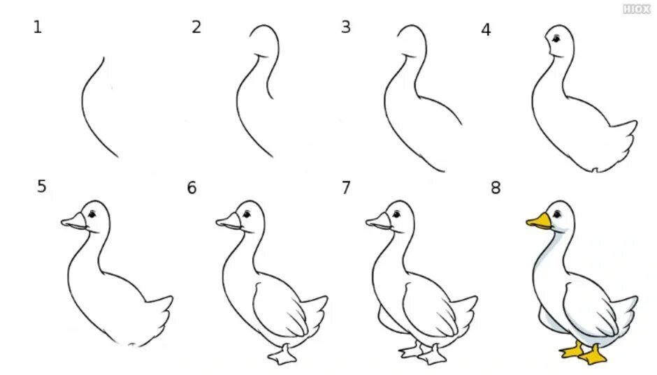 Утки для начинающих. Гусь рисунок пошагово. Поэтапное рисование гуся. Гусь рисунок для детей карандашом. Гусь поэтапное рисование для детей.