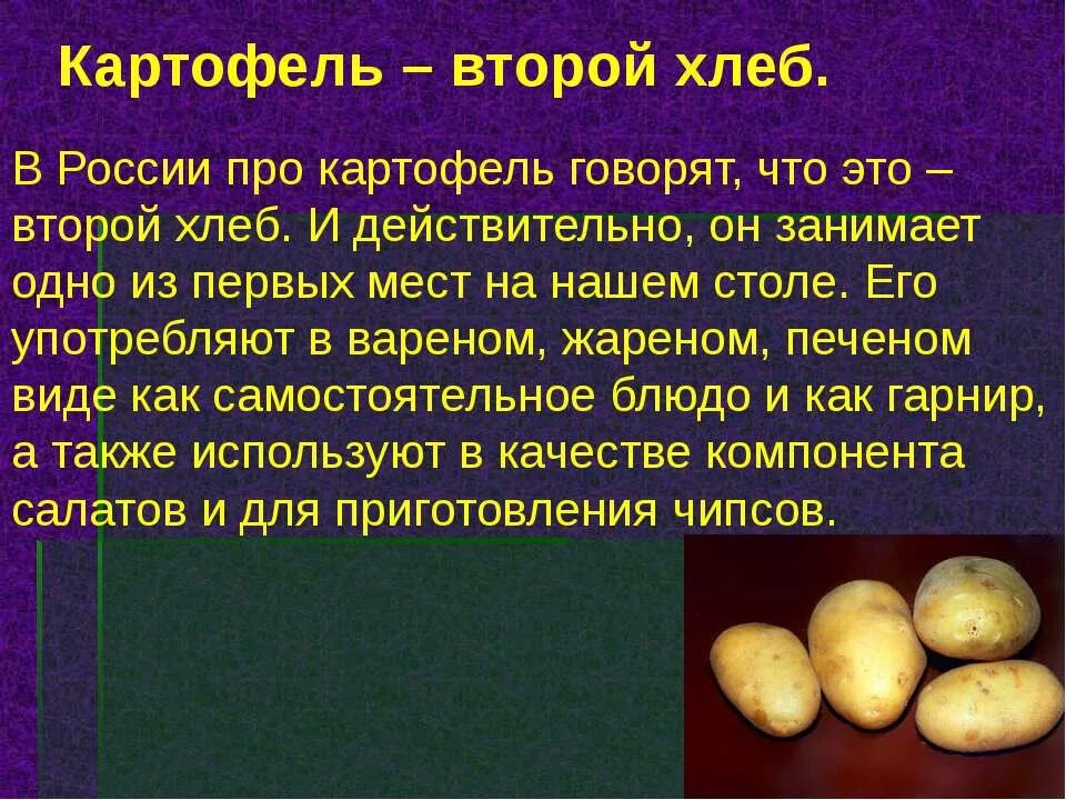 Картофель. Сообщение о картошке. Сообщение о картофеле. Рассказ про картофель.