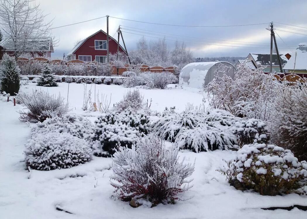 Огород зимой. Дачный участок зимой. Зима в саду. Кустарники зимой. Снегом укрыты дома