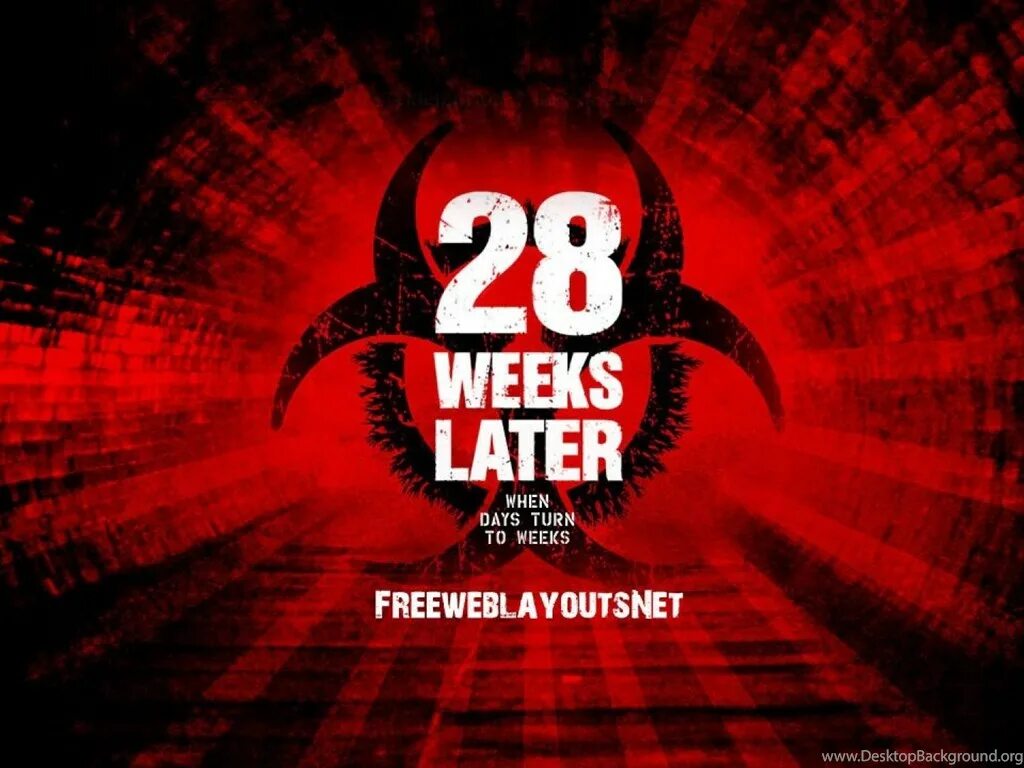 28 дней картинка. 28 Недель спустя фильм Постер. 28 Weeks later 2007 Постер. 28 Недель спустя 2007 Постер.