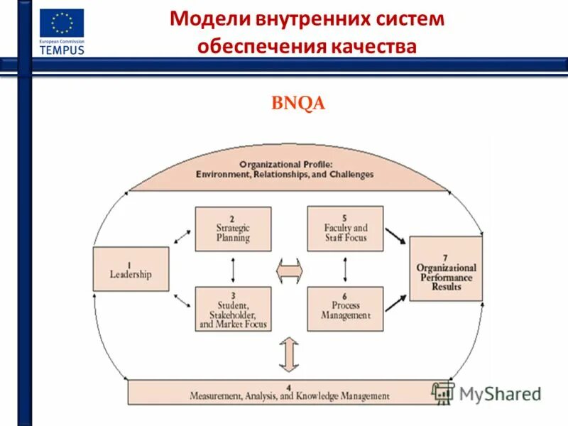 Система управления качеством продукции. Схема управления качеством. Системы обеспечения качества услуг. Внутренняя система обеспечения качества. Гост модель обеспечения качества услуг.