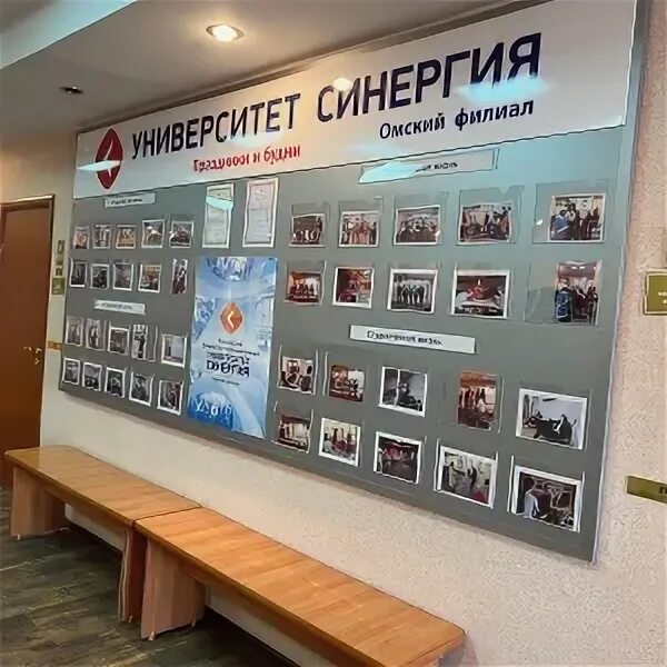 Синергия омск. Синергия омск