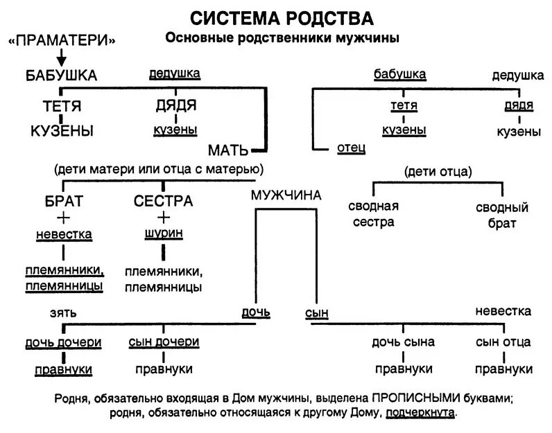 Родственные связи схема родства. Родственные связи кто кому и кем приходится в семье схема. Схема родственных связей как называется. Родственные связи схема троюродные братья.