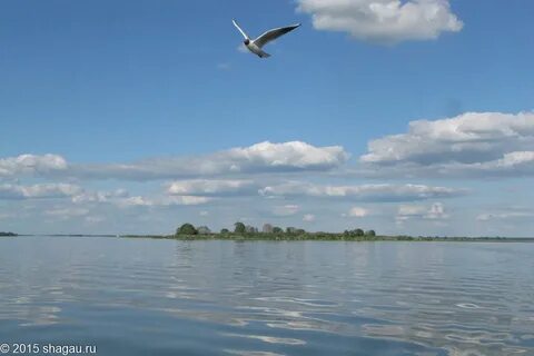 Нижний новгород кинешма