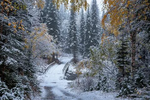 Алтай снег