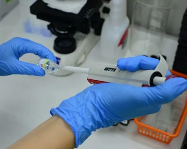 Мок тесты. Мок тест. Итальянская фигуристка допинг. Тест по физкультуре 2 класс 2 четверть школа россии. Adams допинг.