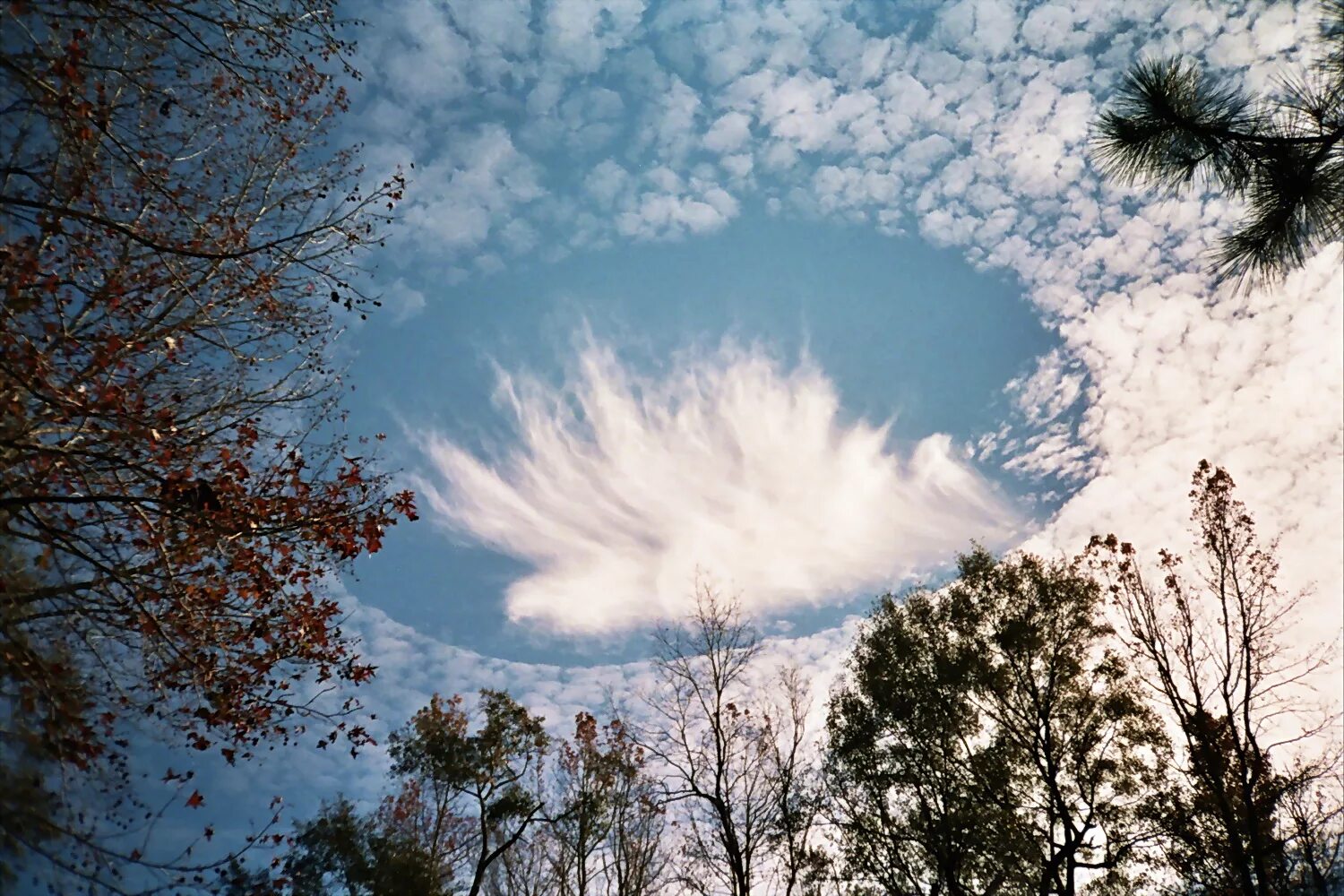 Облака какое явление. Эффект Fallstreak. Эффект Fallstreak облака. Эффект Fallstreak в перисто- кучевых облаках. Необъяснимые явления природы.