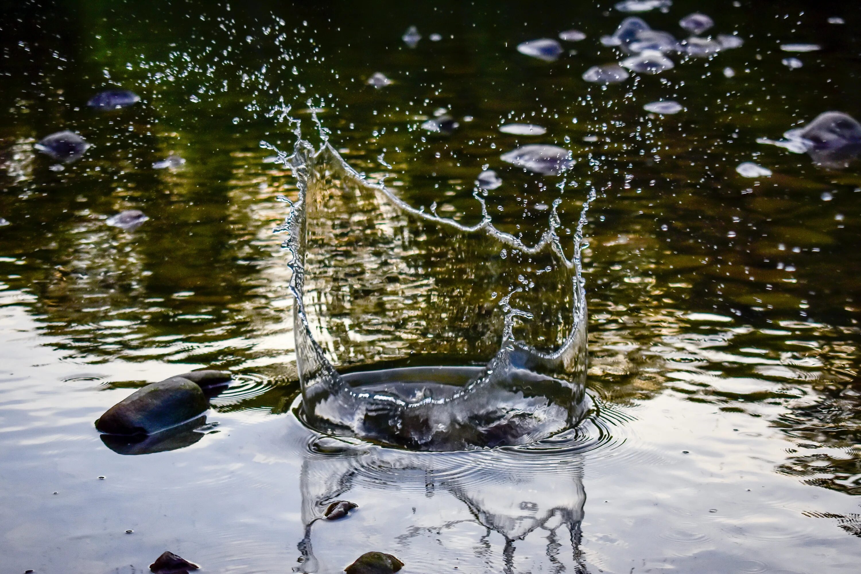 Навели на воду. Брызги воды. Всплеск воды. Брызги на воде от камня. Вода в пруду.