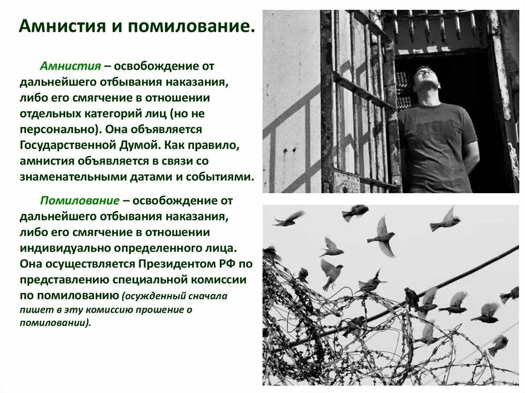 Амнистия информация. Амнистия это. Амнистия ЭИ помилование. Освобождение от наказания. Основания помилования.