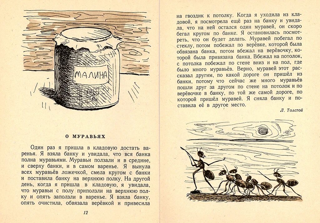 Толстой про муравья. Рассказа л. н. Толстого «о муравьях»,. Лев Николаевич толстой о муравьях. Иллюстрация к рассказу Толстого "муравьи". Рассказ л Толстого о муравьях.