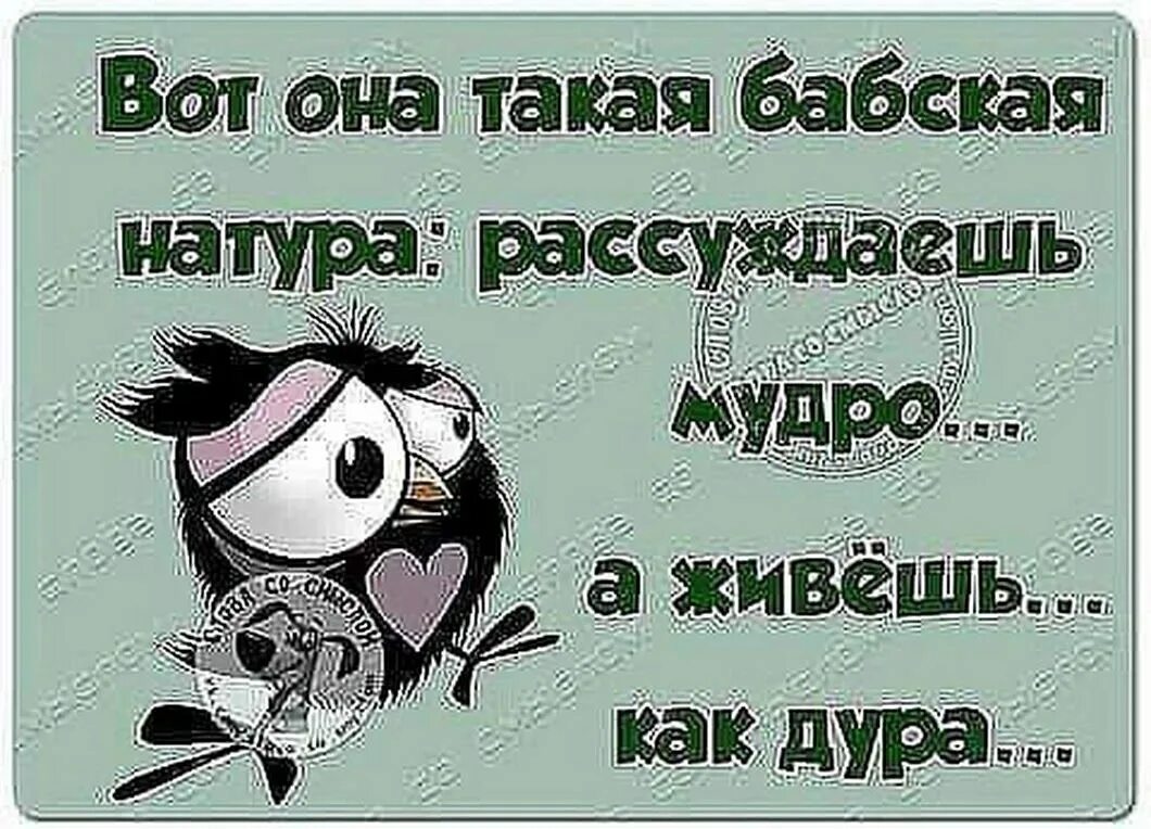 Прикольные высказывания. Вот такая я смешная. Вот она бабская натура рассуждаешь мудро. Смешные высказывания о жизни. Назови меня дурой