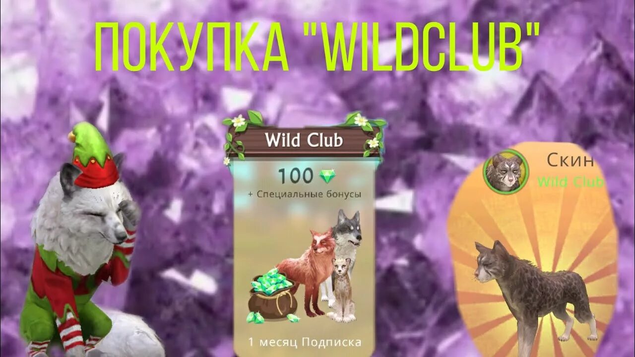 Вилд скины. Вилд клаб. WILDCRAFT вайлд клаб. WILDCRAFT подписка. Подписка Wild Club.