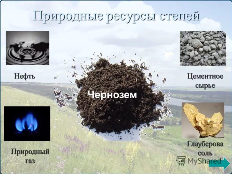Какие богатства использует человек. Природные ресурсы степи. Природные ресурсы степи в России. Полезные ископаемые степи. Природные ресурсы степи и лесостепи.