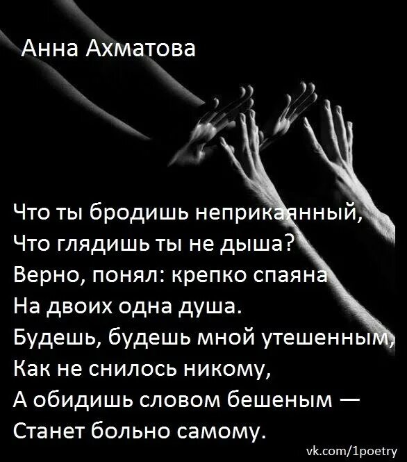 Что ты бродишь неприкаянный Ахматова. Неприкаянный стихи. Стихотворение что ты бродишь неприкаянный. Неприкаянный значение слова. Неприкаянный что значит