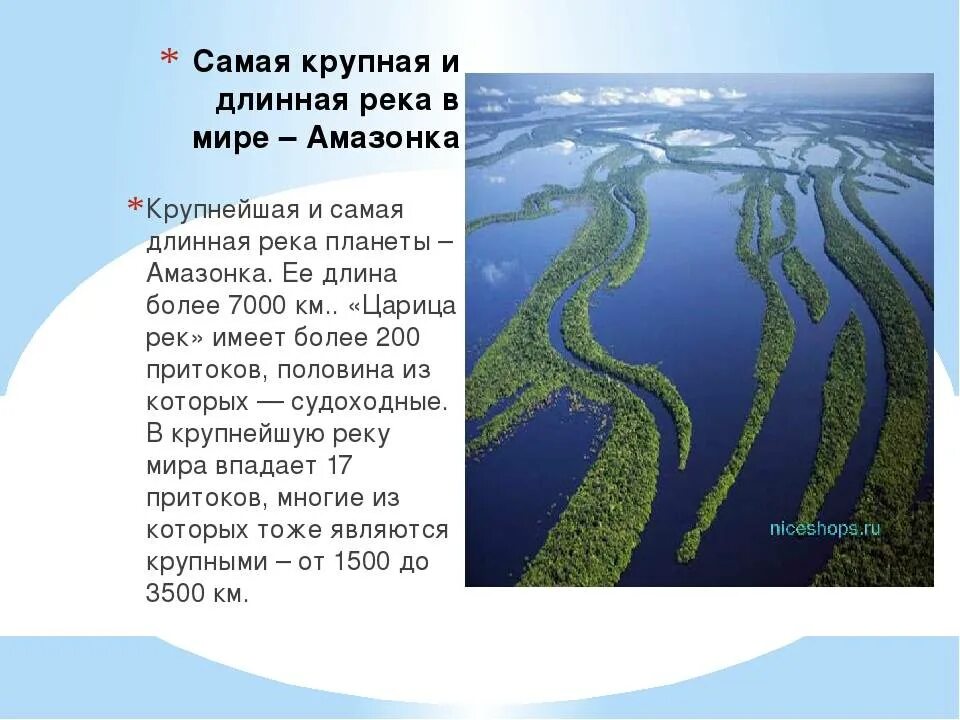 Какая река в мире