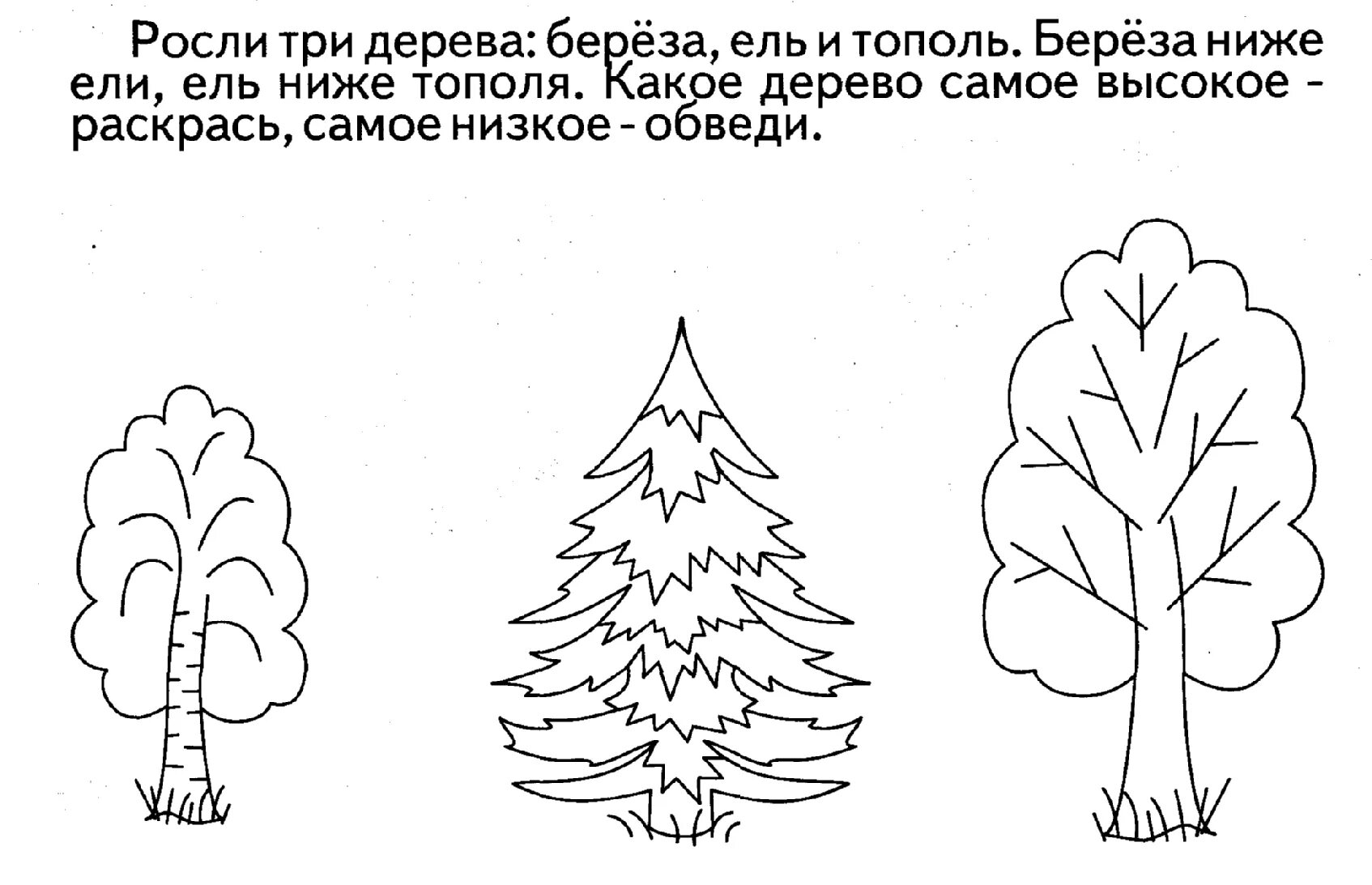 Деревья задания. Дерево раскраска для детей. Деревья задания для дошкольников. Деревья занятия для дошкольников.